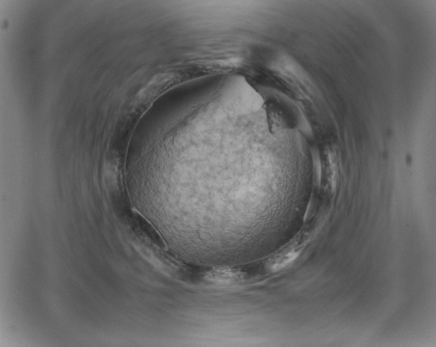 X0000067830231200604131209