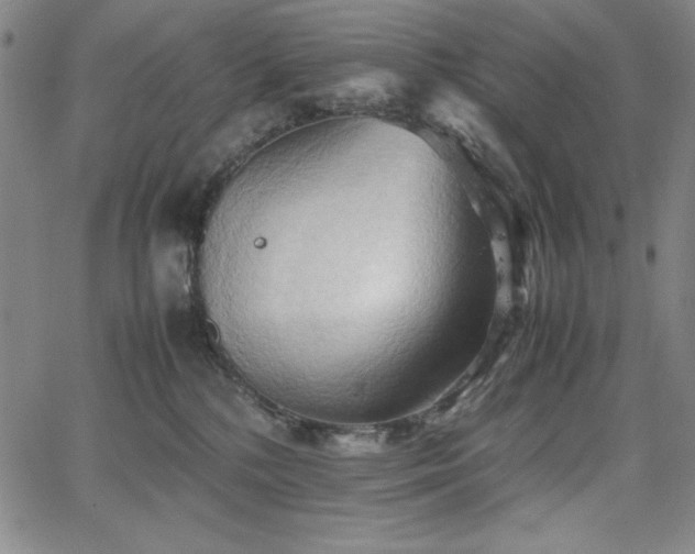 X0000067830232200604131209