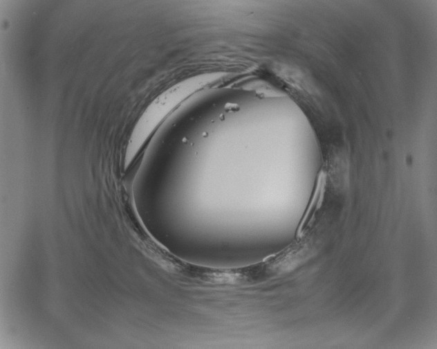 X0000067830233200604131209