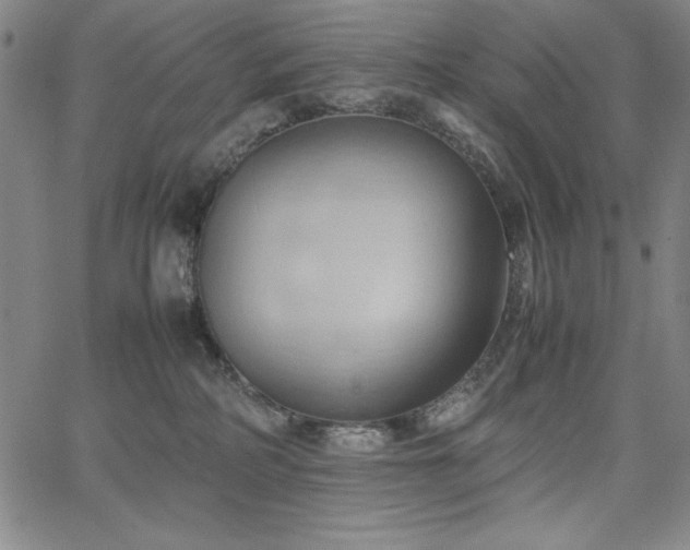 X0000067830234200604131209