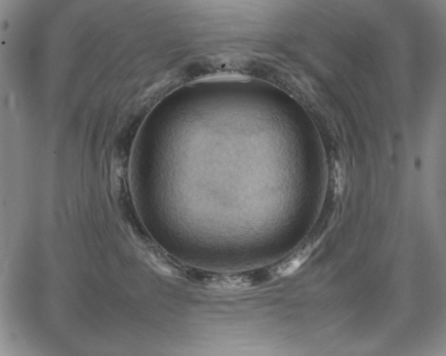 X0000067830235200604131209