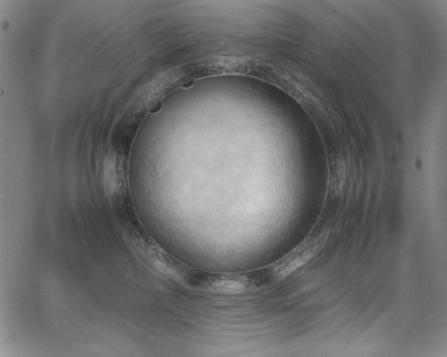 X0000067830236200604131209