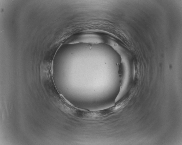 X0000067830237200604131209