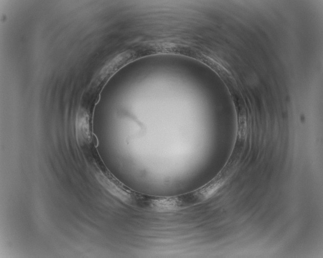 X0000067830238200604131209