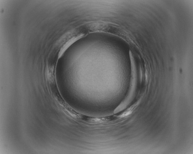 X0000067830239200604131209