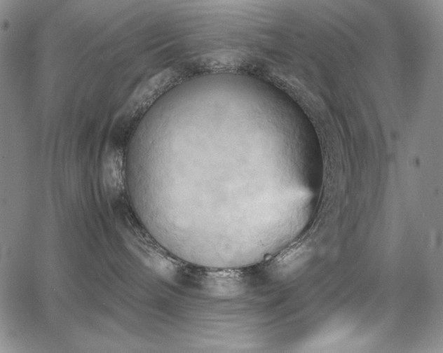 X0000067830240200604131208