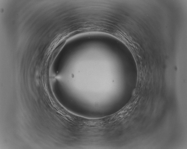 X0000067830241200604131208