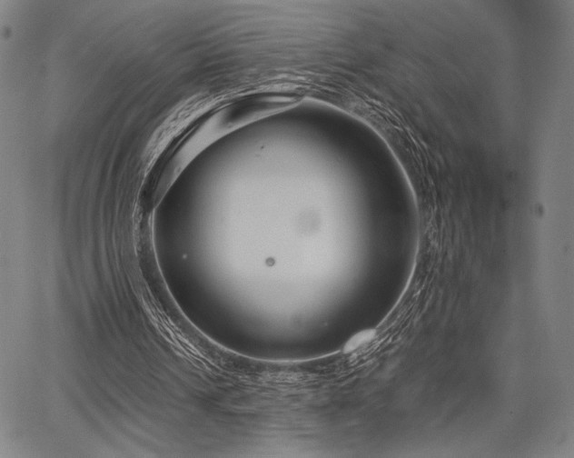 X0000067830242200604131208