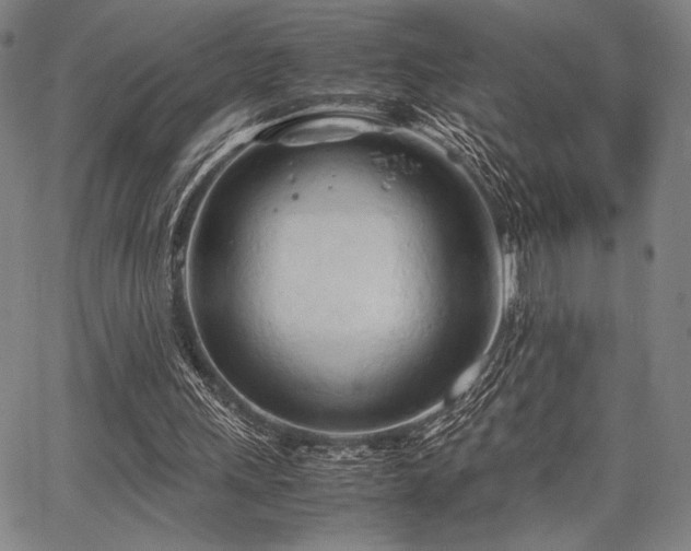 X0000067830243200604131208