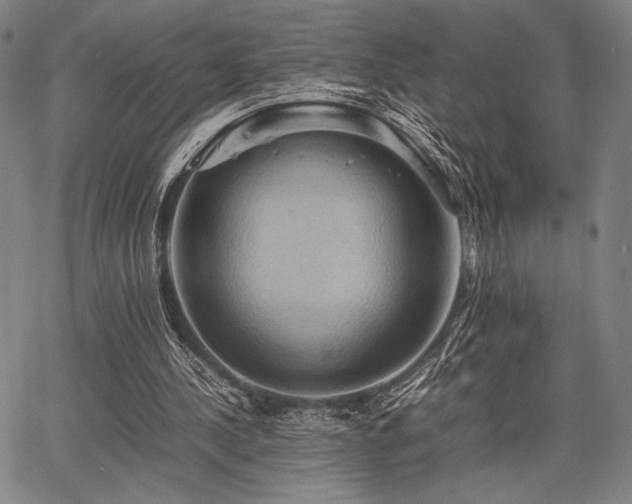 X0000067830244200604131208