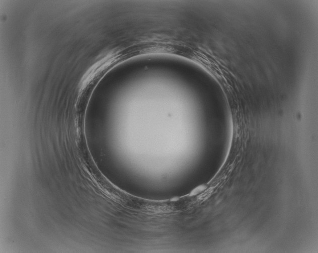 X0000067830245200604131208