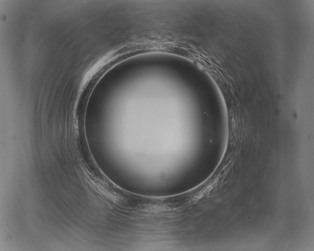 X0000067830246200604131208