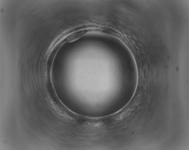 X0000067830247200604131208