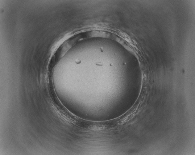 X0000067830248200604131208