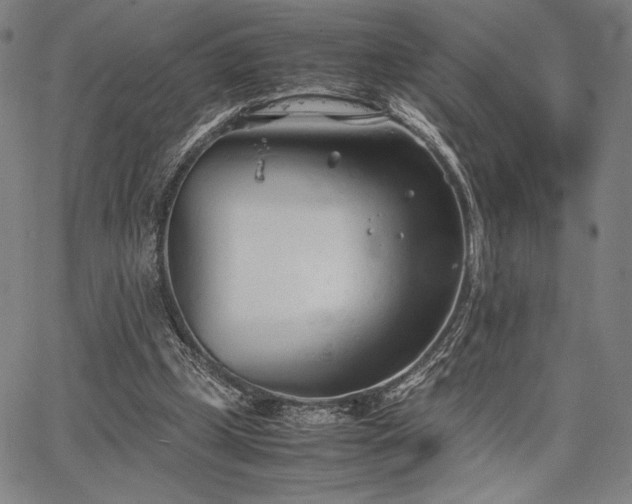 X0000067830249200604131208