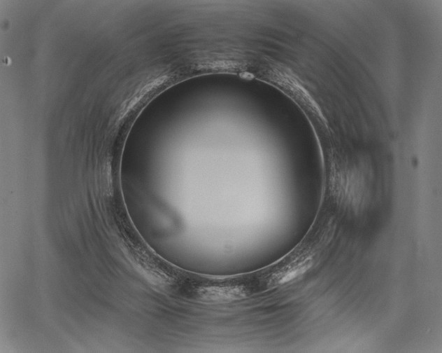 X0000067830251200604131208