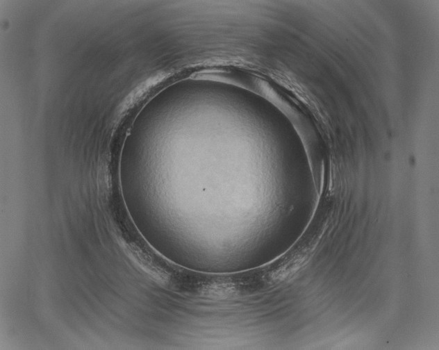 X0000067830252200604131208