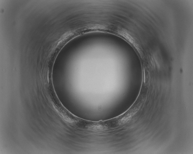 X0000067830253200604131208