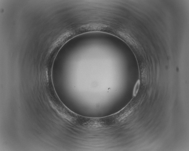 X0000067830254200604131208