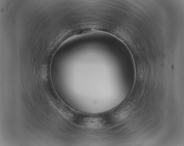 X0000067830255200604131208