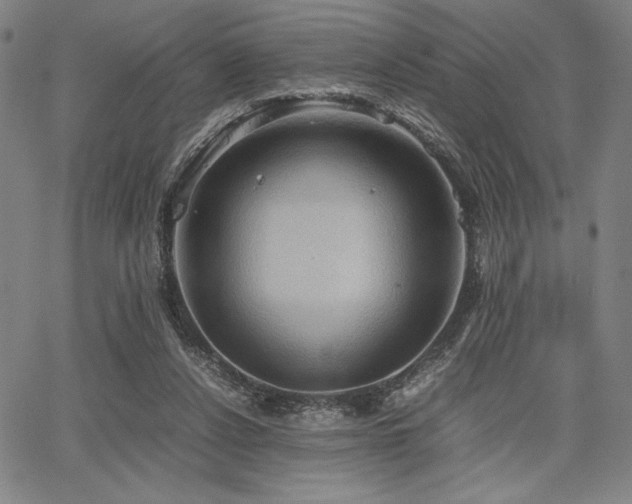 X0000067830256200604131208