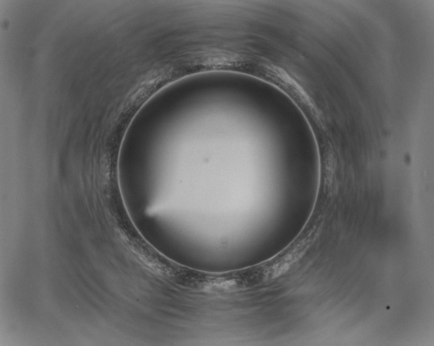 X0000067830257200604131208