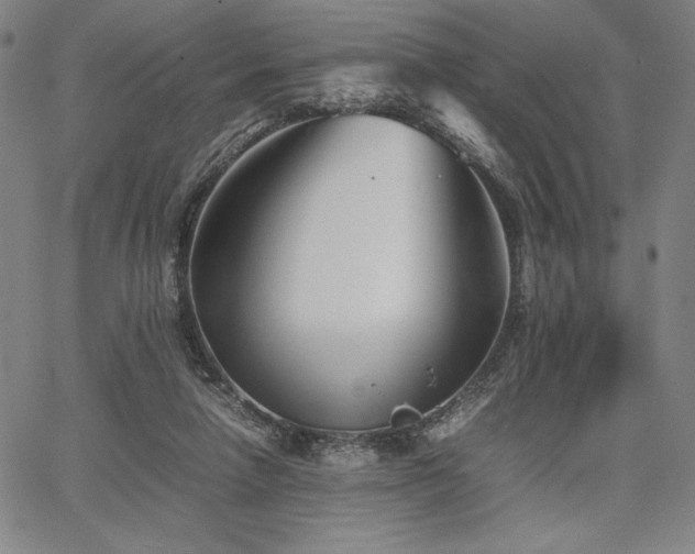 X0000067830258200604131208