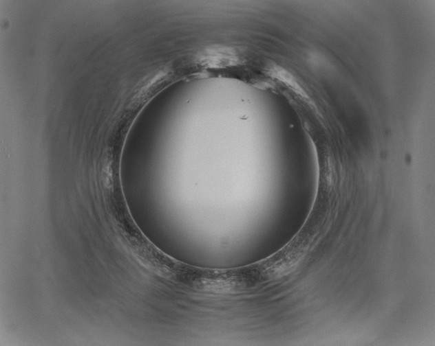 X0000067830259200604131208