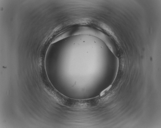 X0000067830260200604131208