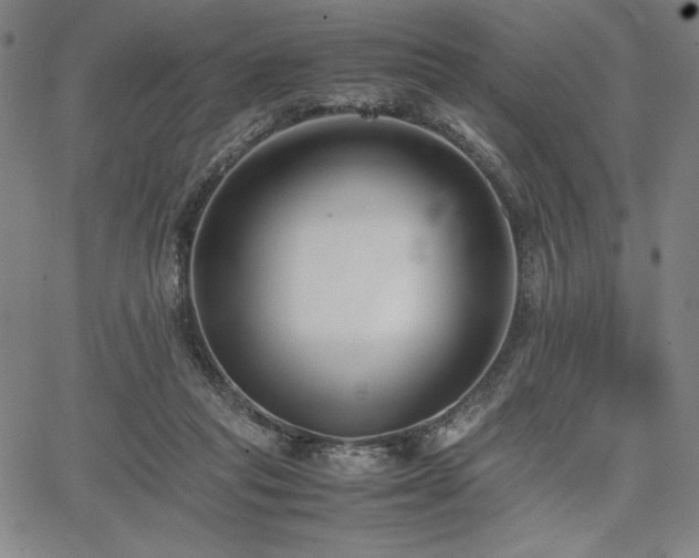 X0000067830261200604131208