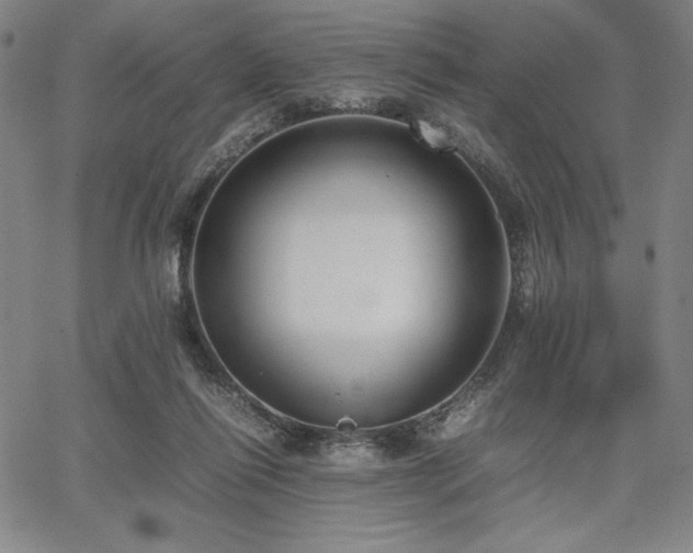 X0000067830262200604131208