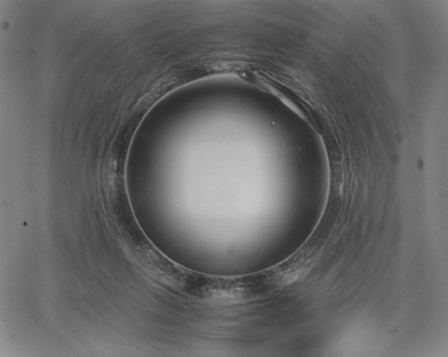 X0000067830263200604131208