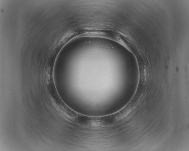 X0000067830264200604131208