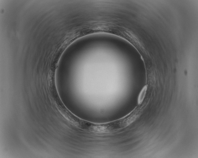 X0000067830265200604131208