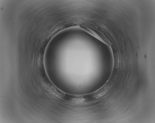 X0000067830266200604131208