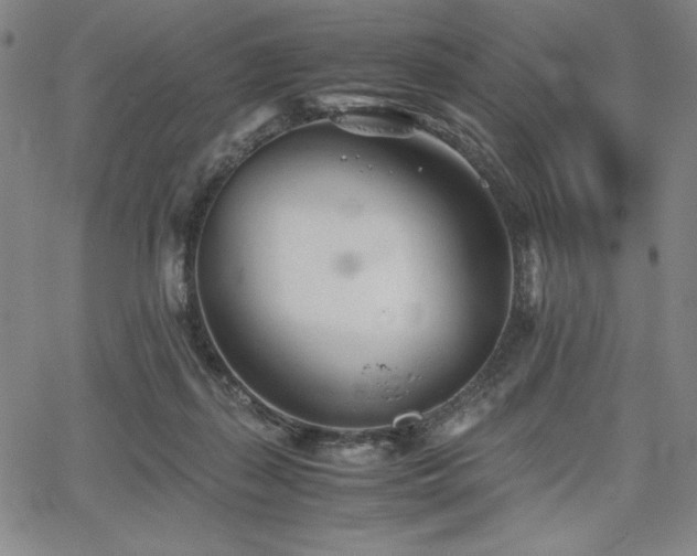 X0000067830267200604131208