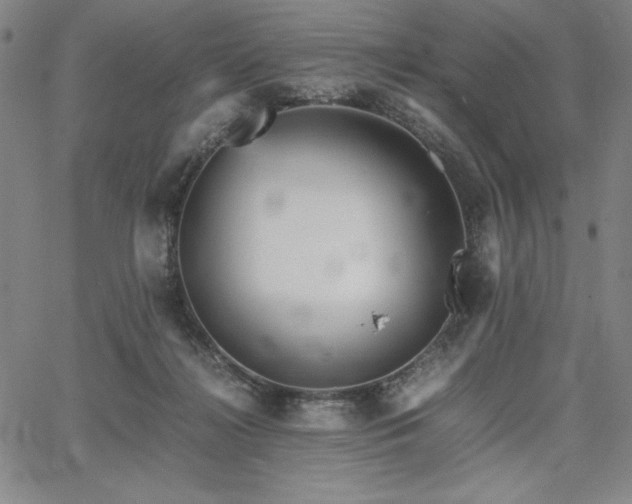 X0000067830268200604131208