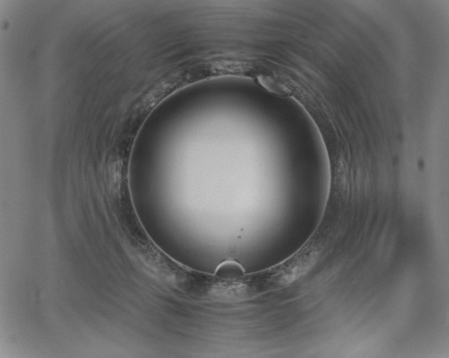 X0000067830271200604131208