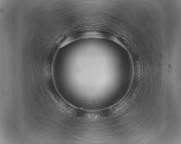 X0000067830272200604131208