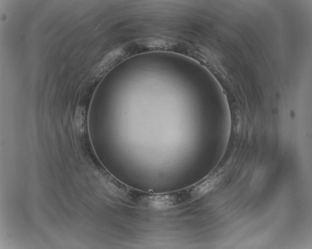 X0000067830273200604131208