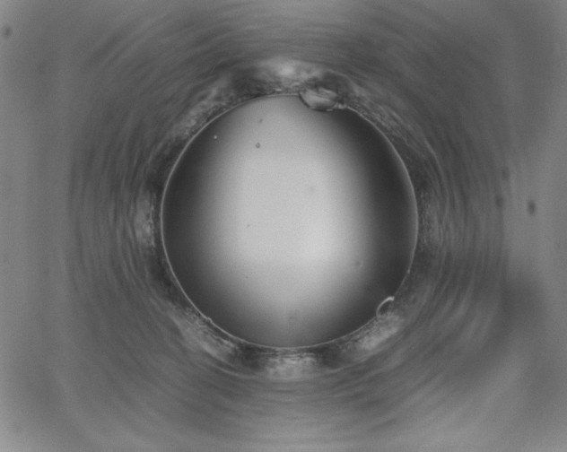 X0000067830274200604131208