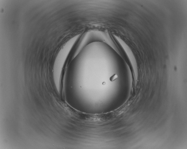 X0000067830276200604131208