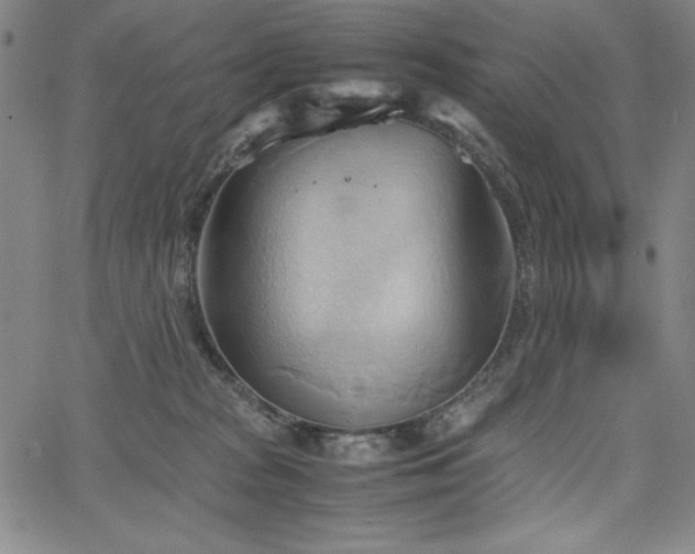 X0000067830277200604131208