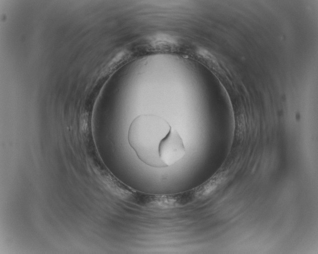 X0000067830278200604131208