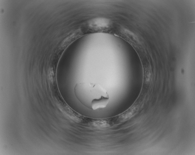 X0000067830279200604131208