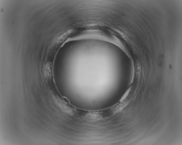 X0000067830280200604131208