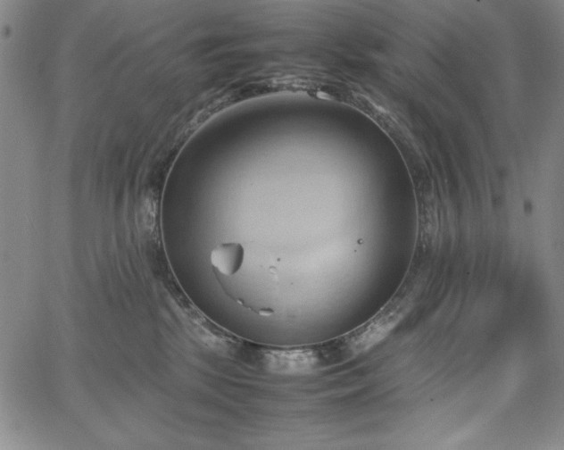 X0000067830281200604131208