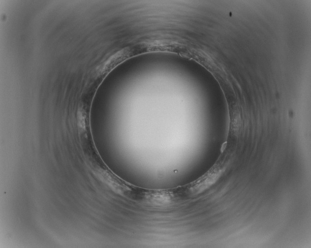 X0000067830282200604131208