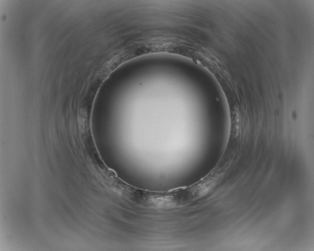 X0000067830283200604131208