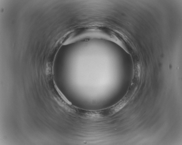 X0000067830284200604131208